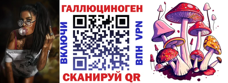Псилоцибиновые грибы Psilocybe  Темрюк 